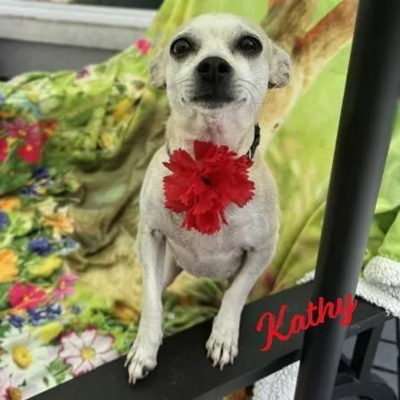 Kathy bestieofKate thumbnail 3