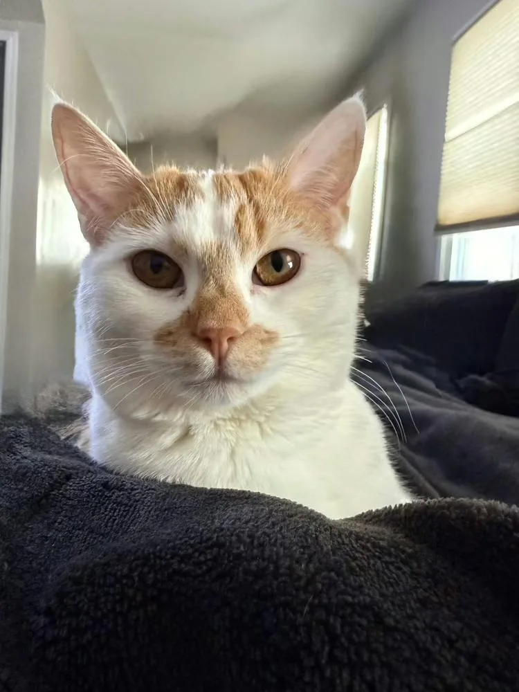 Margaret thumbnail 2