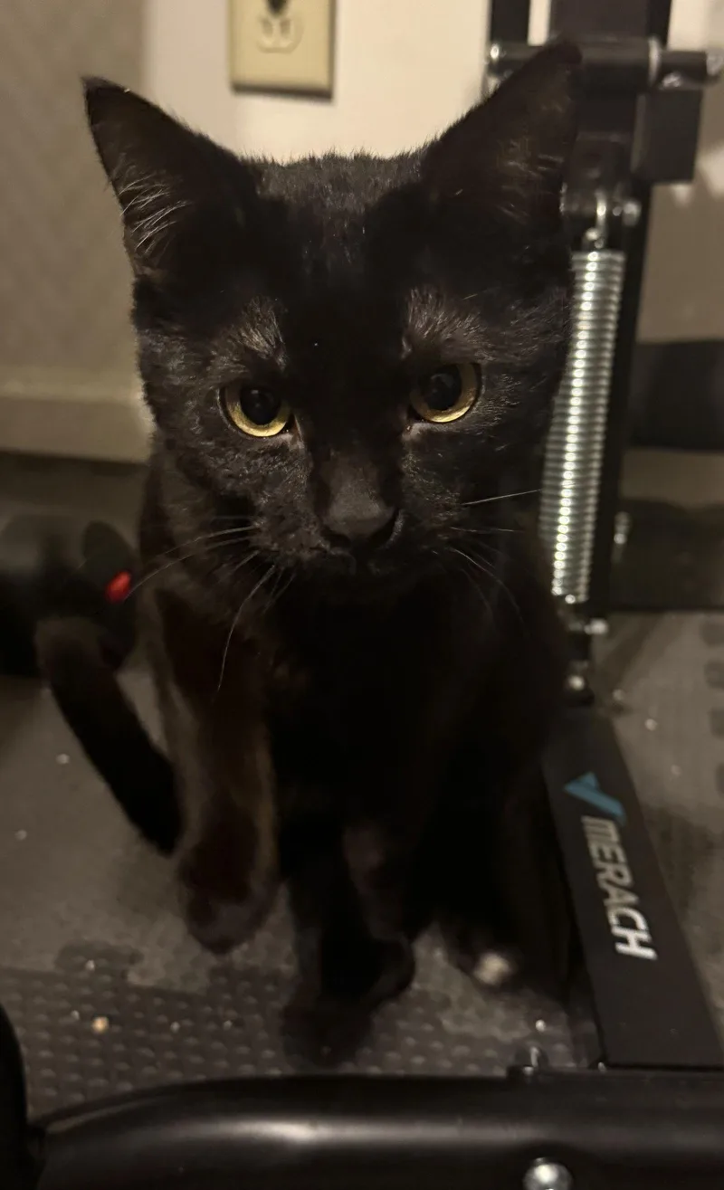 Dynamite thumbnail 2