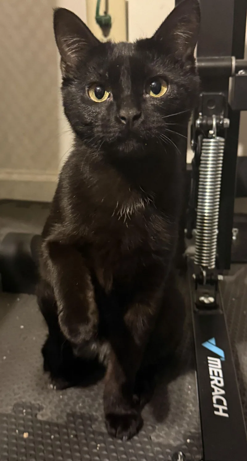 Dynamite thumbnail 3