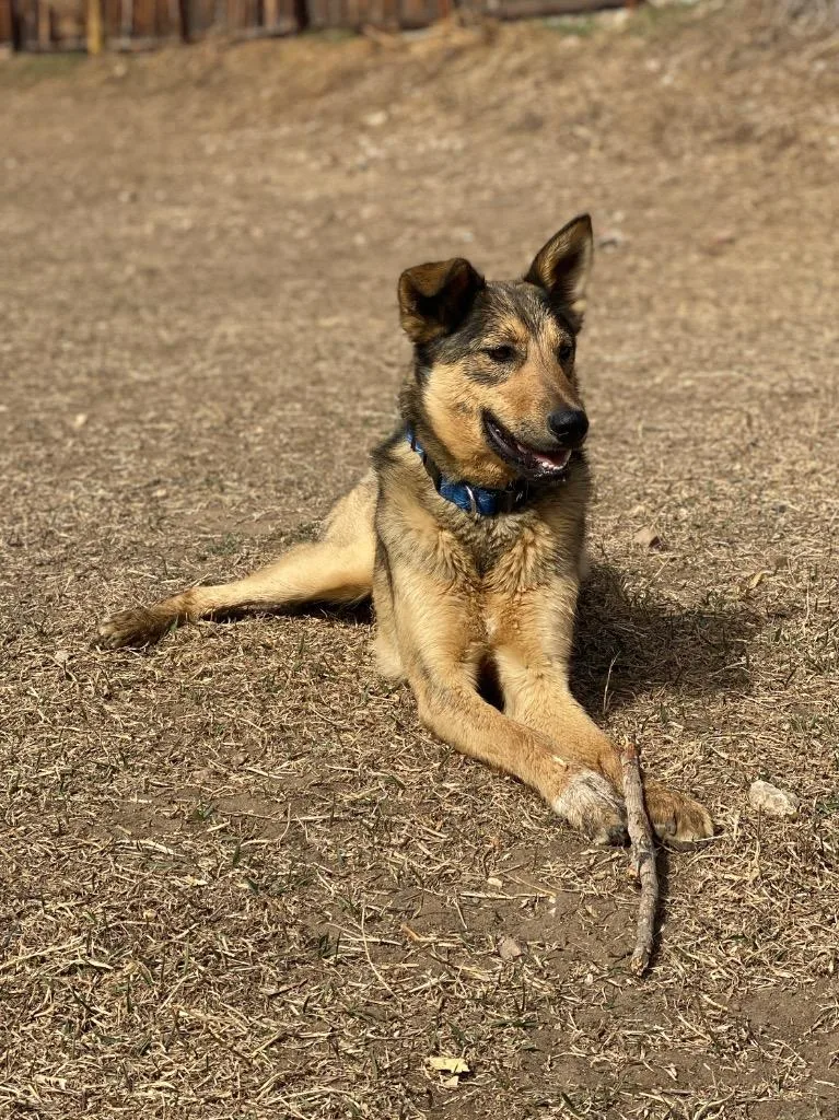 Johnny Steve thumbnail 3