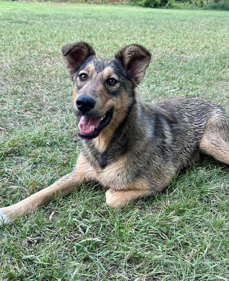 Johnny Steve thumbnail 5