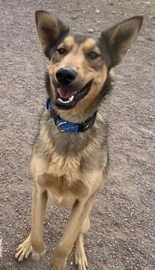 Johnny Steve thumbnail 6