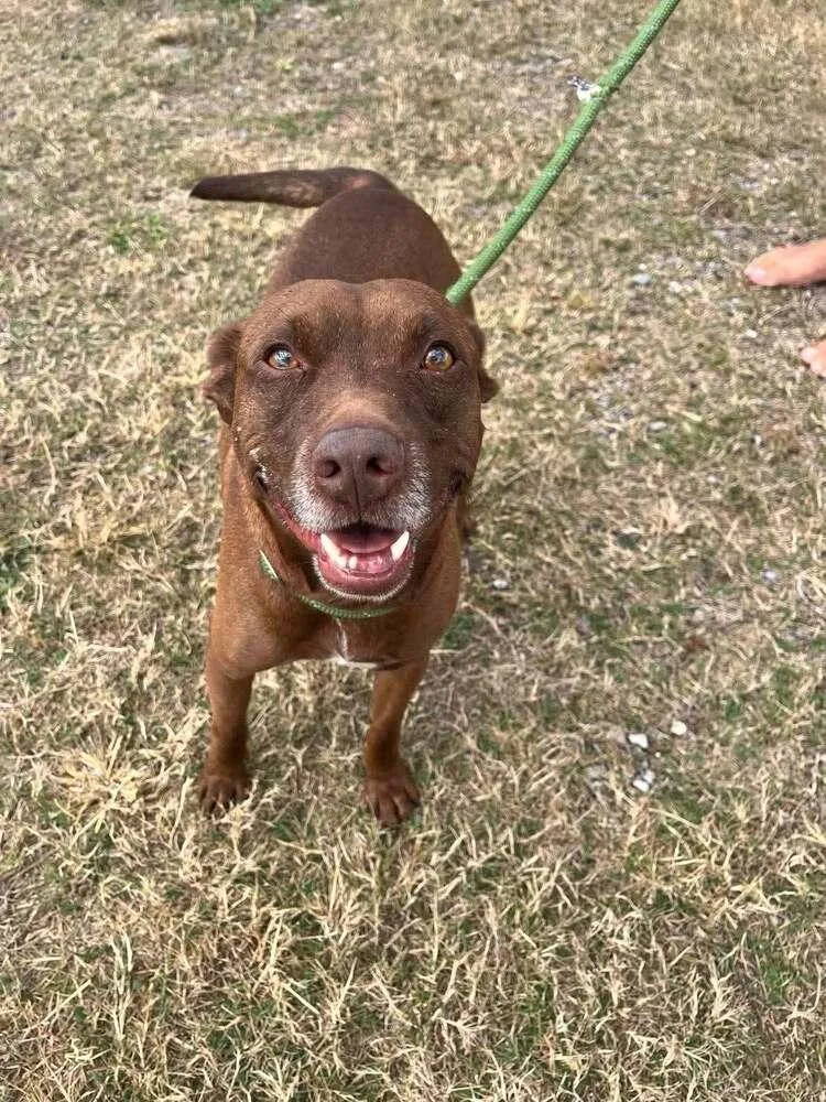 Baby Bear thumbnail 2