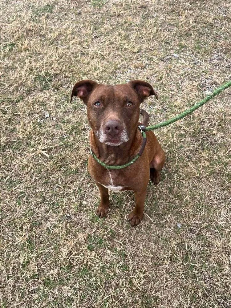 Baby Bear thumbnail 3