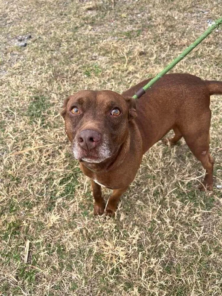 Baby Bear thumbnail 4