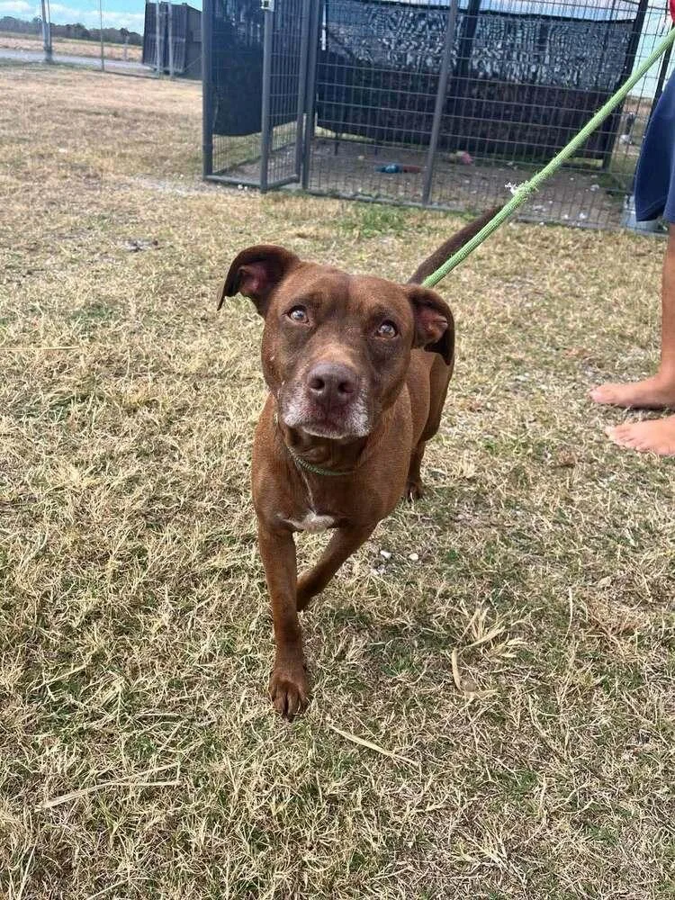 Baby Bear thumbnail 5