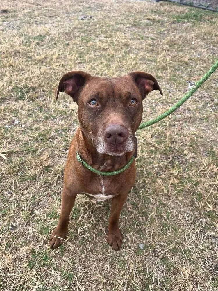 Baby Bear thumbnail 6