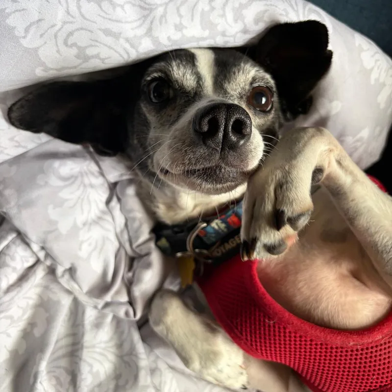 Minnie thumbnail 2