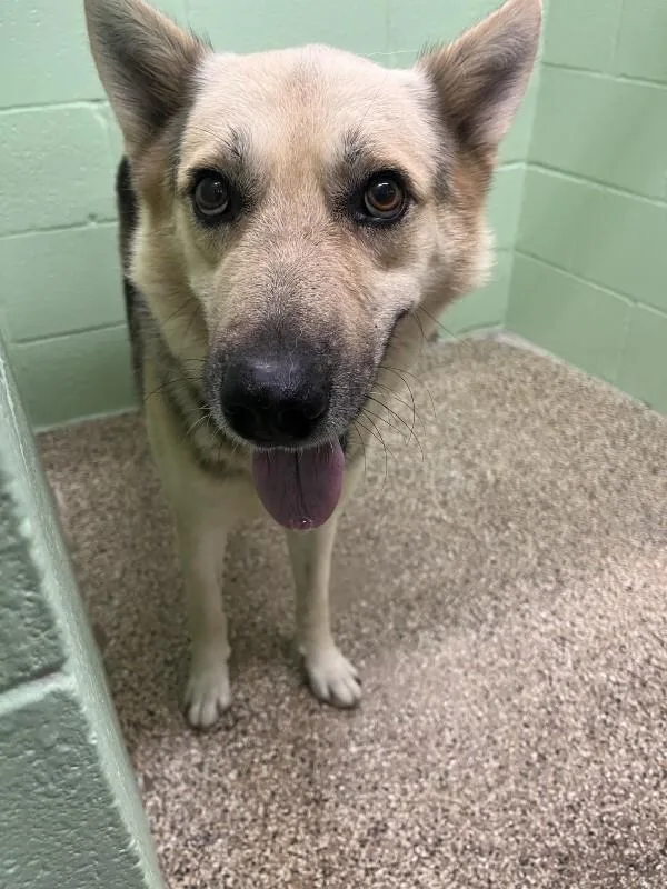 Naruto Uzumaki thumbnail 2