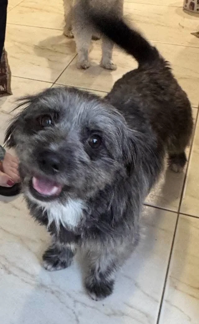 Toto