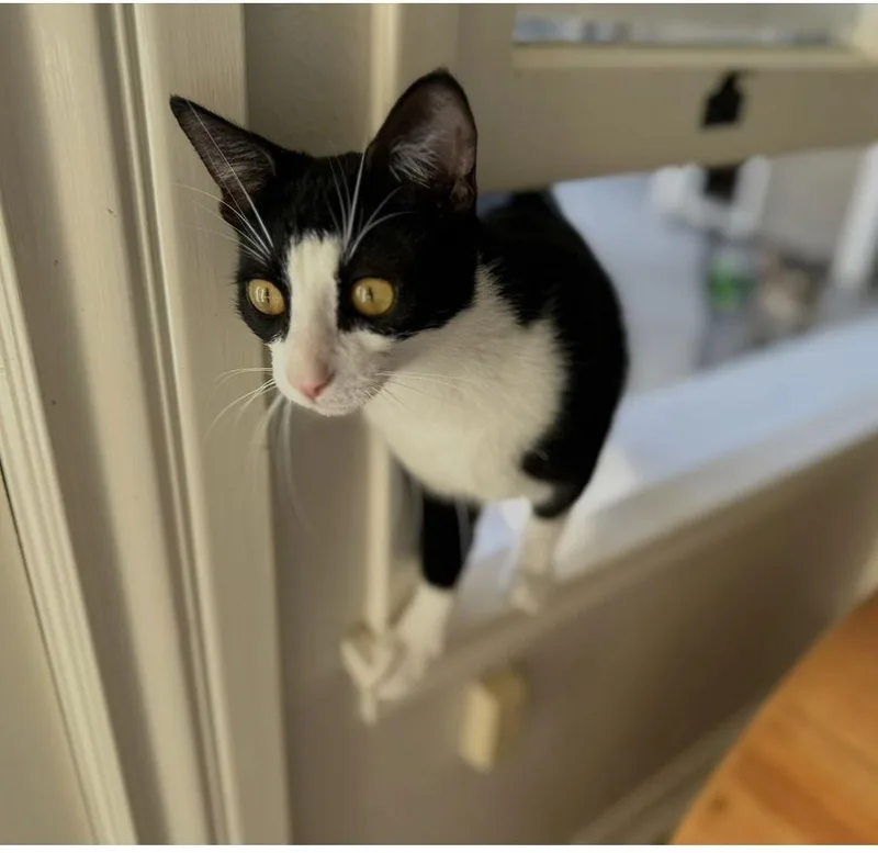 Miss Ming Ming & thumbnail 2