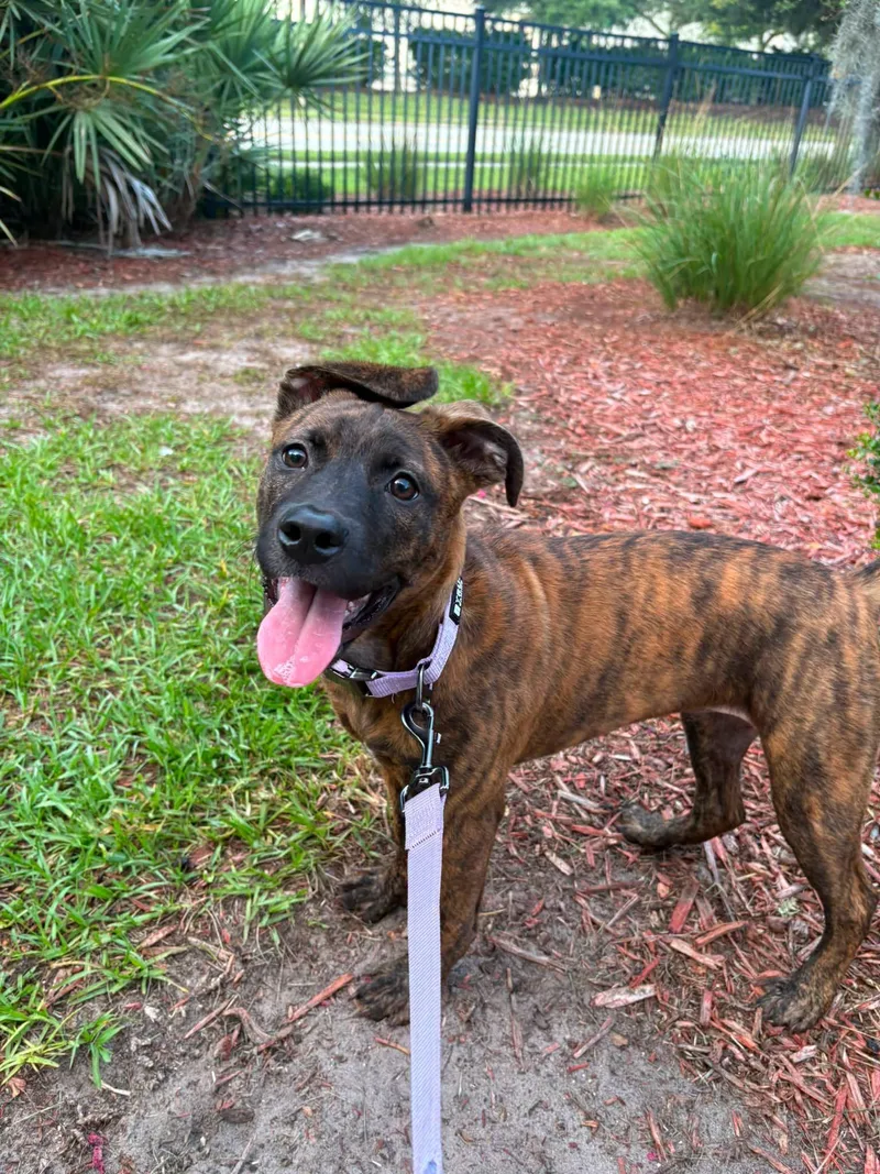 Xena