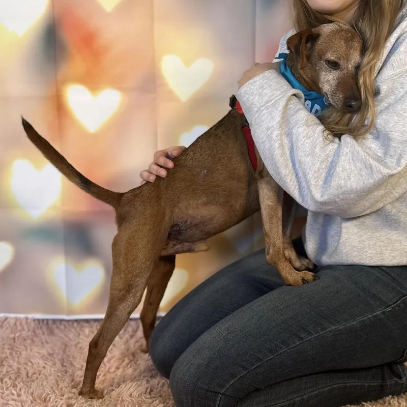 Mighty Joe thumbnail 6