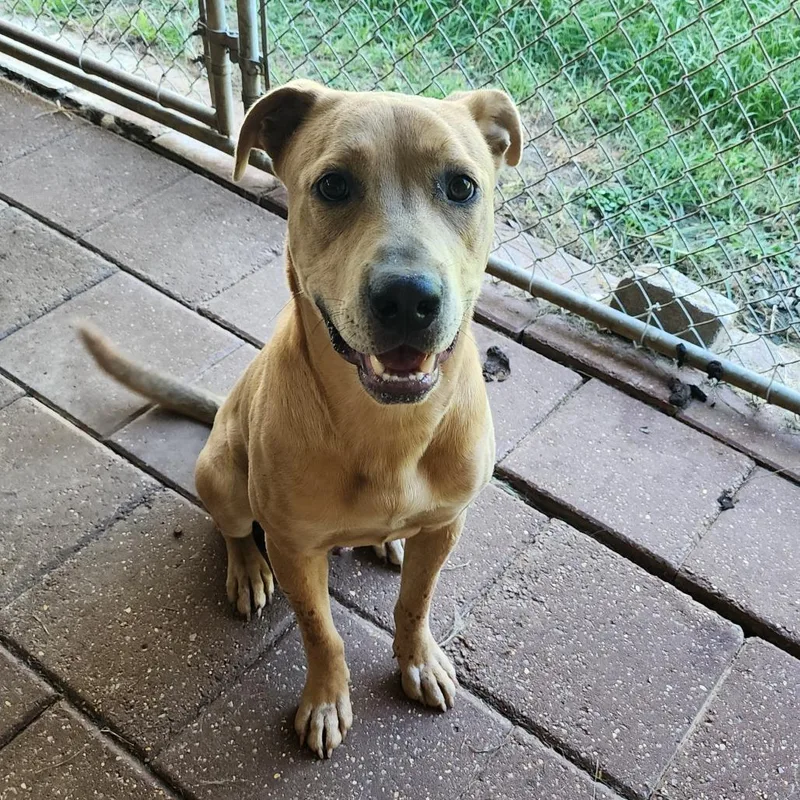 Benson