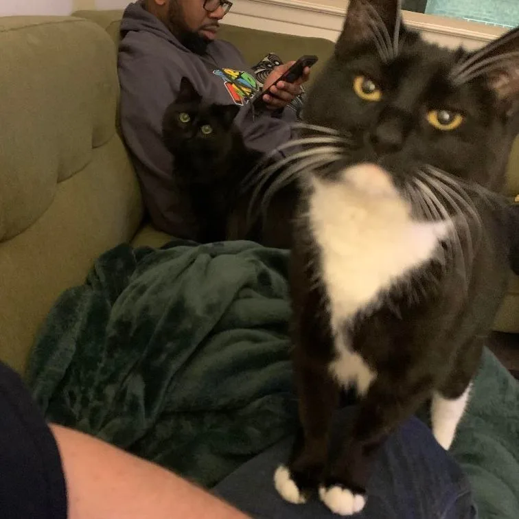 Princess thumbnail 2