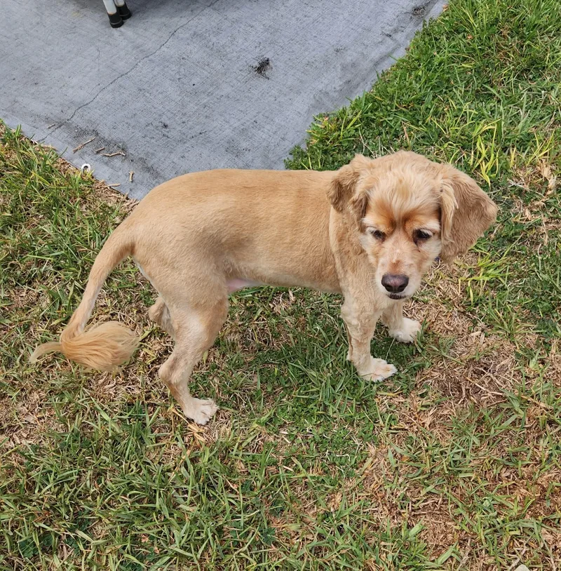 Sadie Mae thumbnail 2