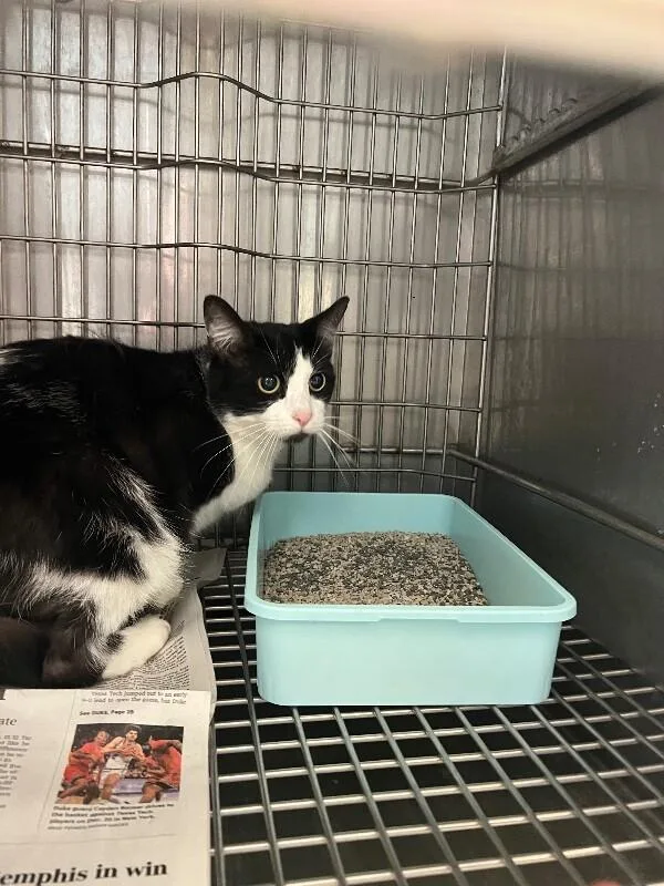 Waterview thumbnail 2