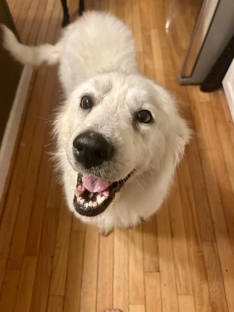 Daisy Mae thumbnail 2
