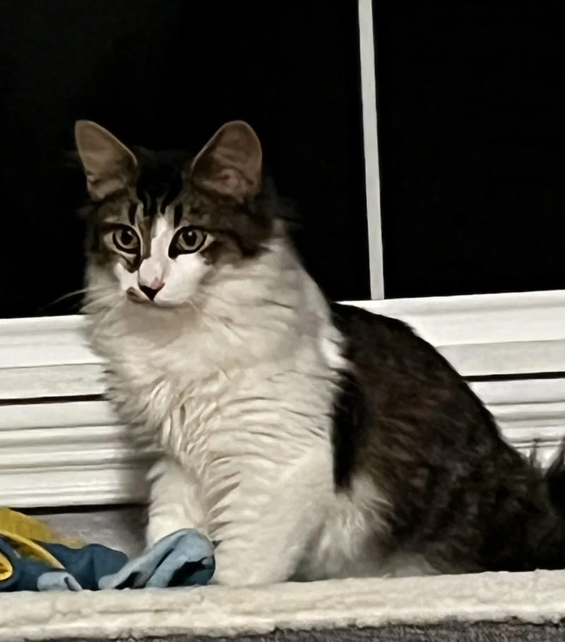 Xander thumbnail 2