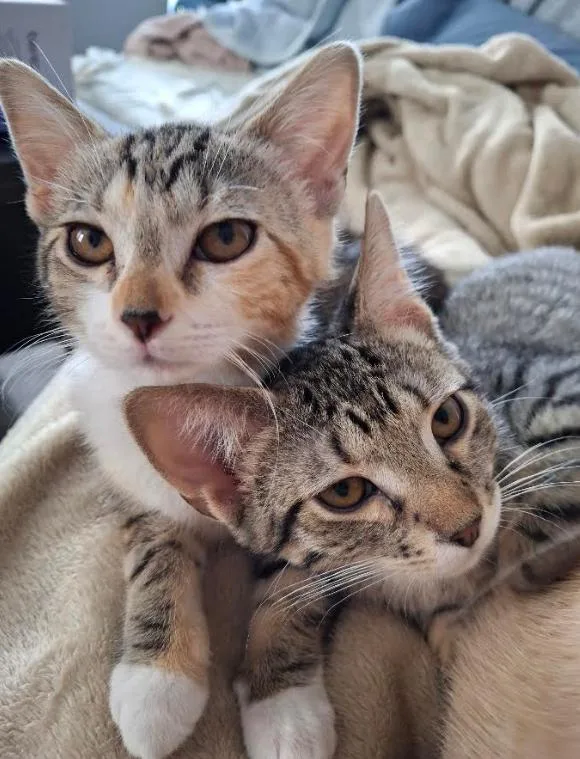 Taylor and Titus thumbnail 3