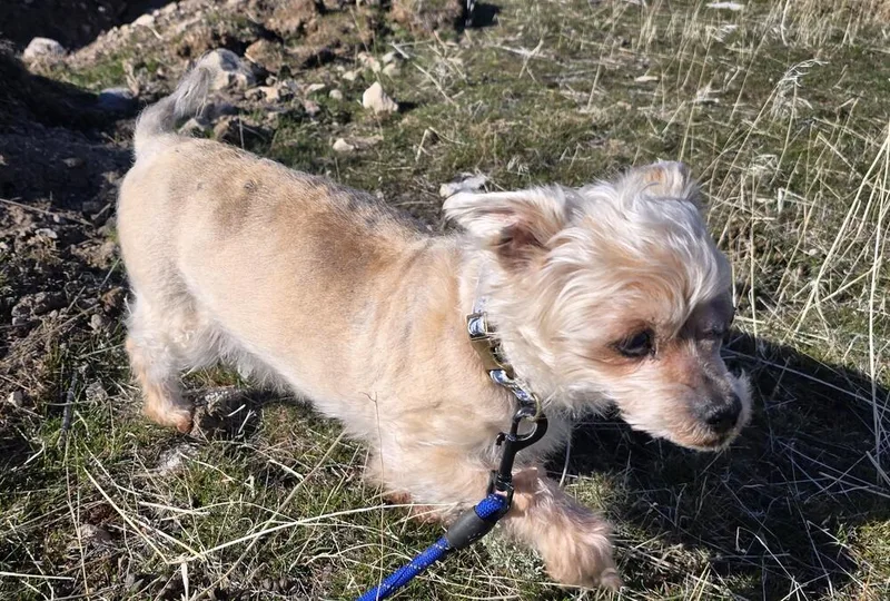 Mister B thumbnail 2