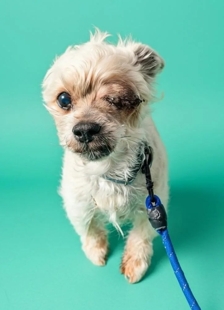 Mister B thumbnail 4