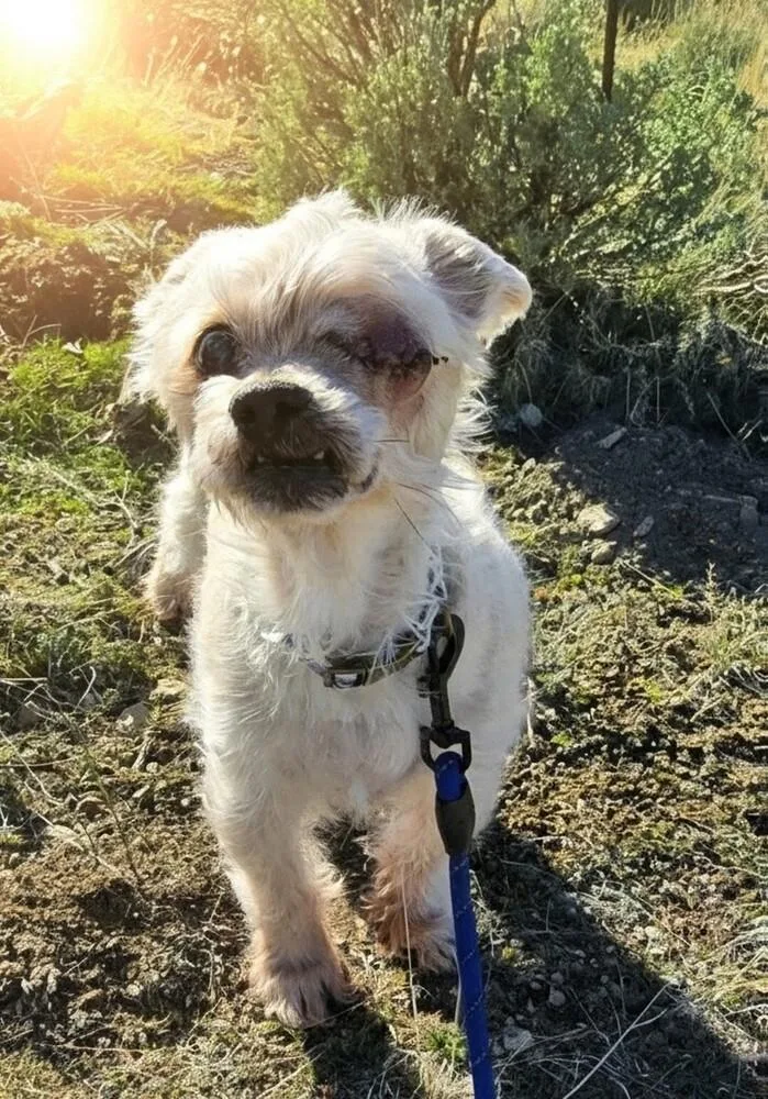 Mister B thumbnail 5