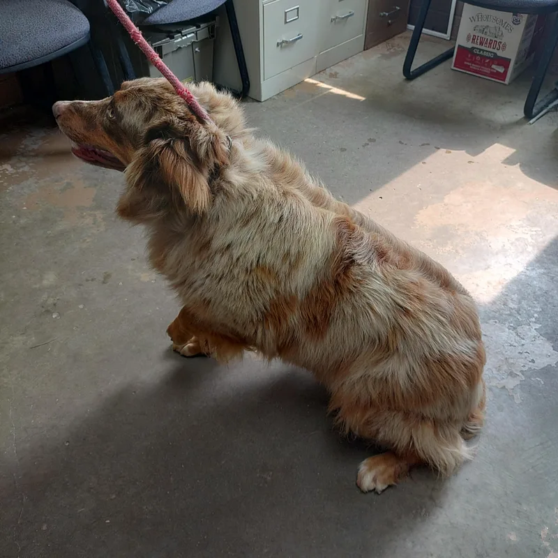 26-070 thumbnail 2