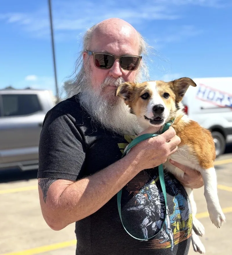 A young medium-sized female Tricolor (Brown, Black, & White) Mixed Breed dog named Calla for adoption in Brookshire, TX