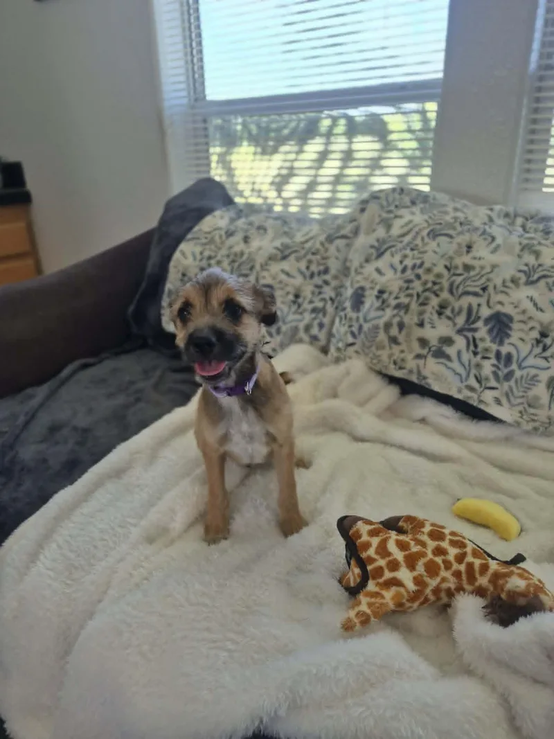 Andy thumbnail 4