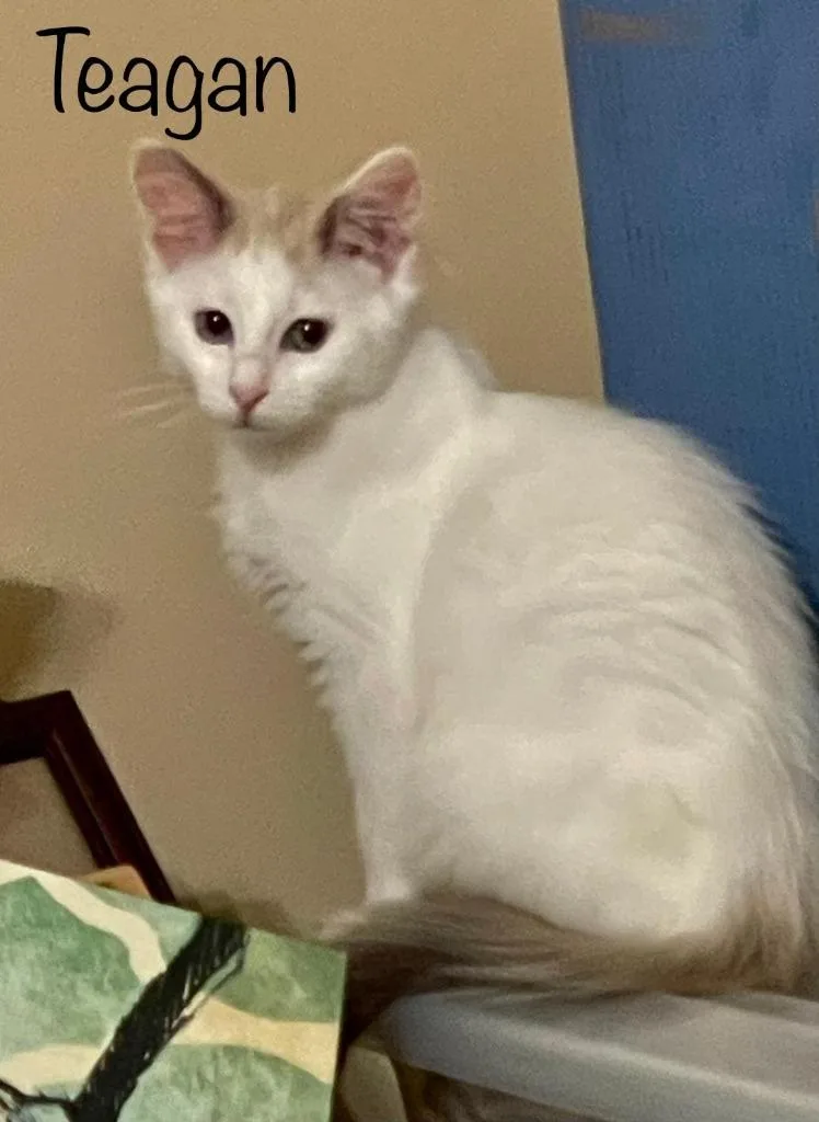 Teagan thumbnail 2