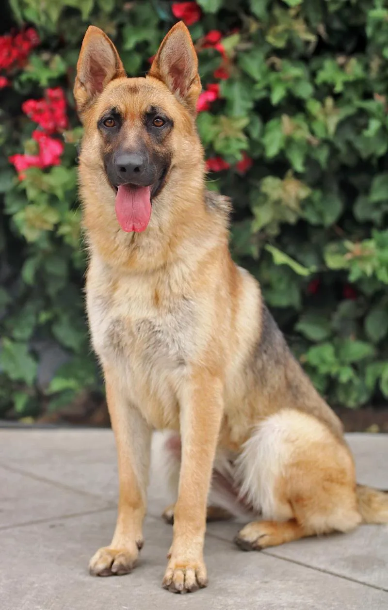 Minnie Von Meldorf thumbnail 5