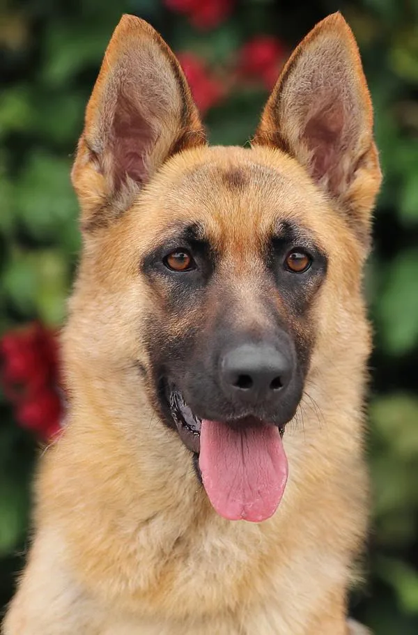 Minnie Von Meldorf thumbnail 6