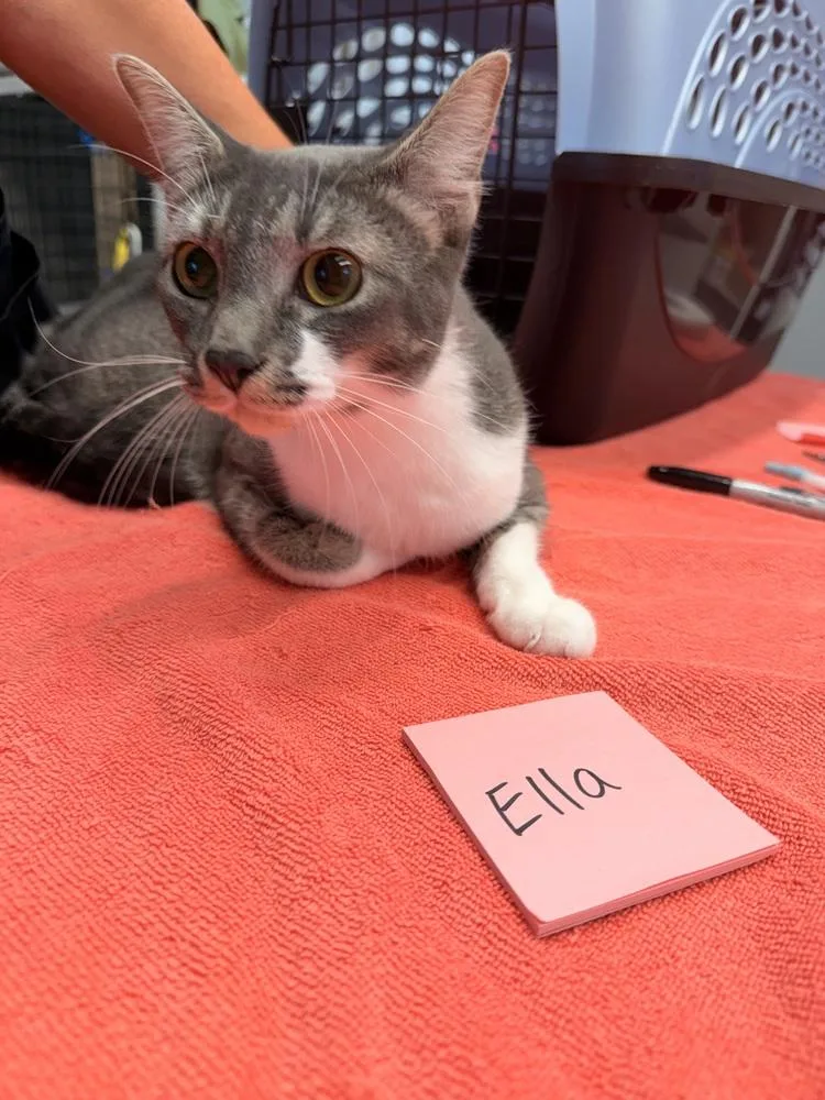 Ella