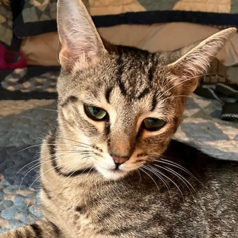 Pretty Boy thumbnail 4