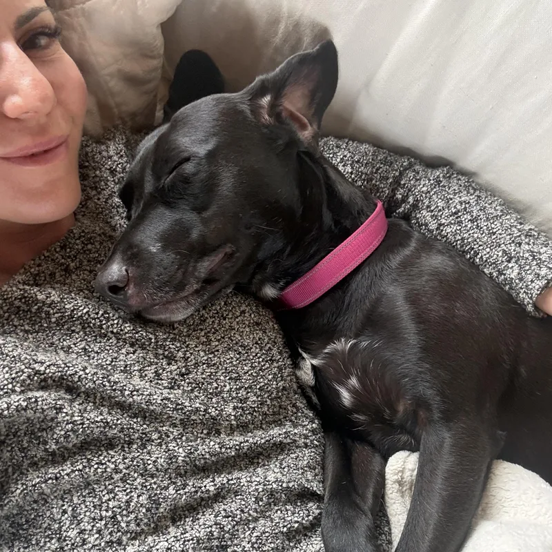 Bunny Perfect Girl thumbnail 5