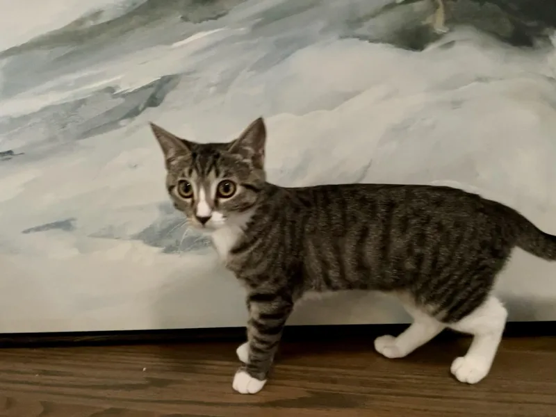 Kiki thumbnail 2