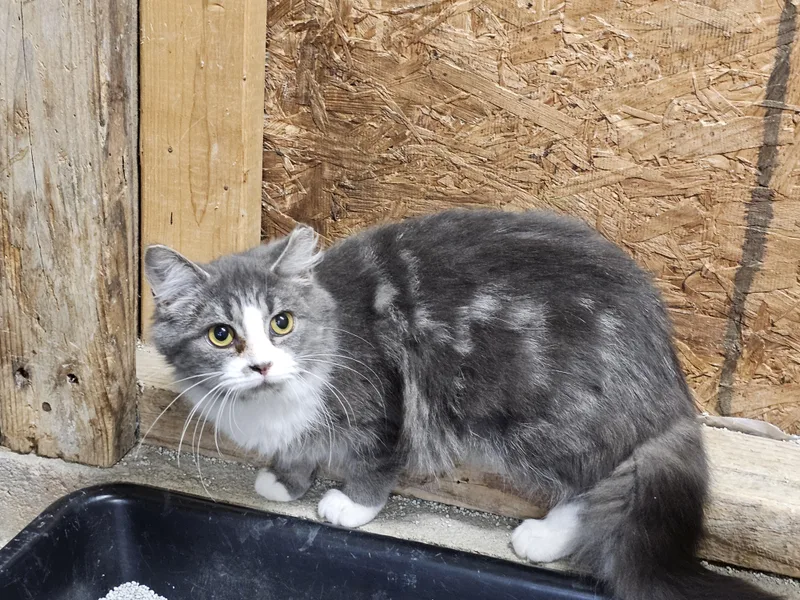 Sassy Girl thumbnail 2