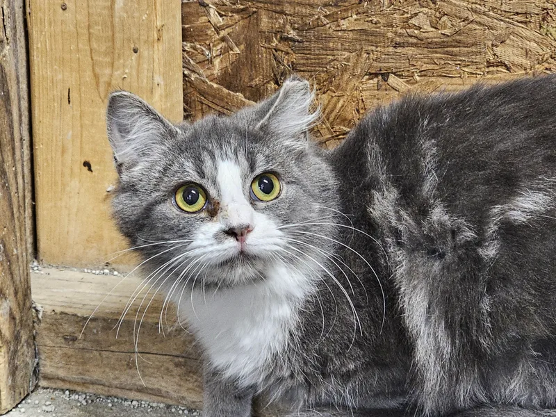 Sassy Girl thumbnail 5