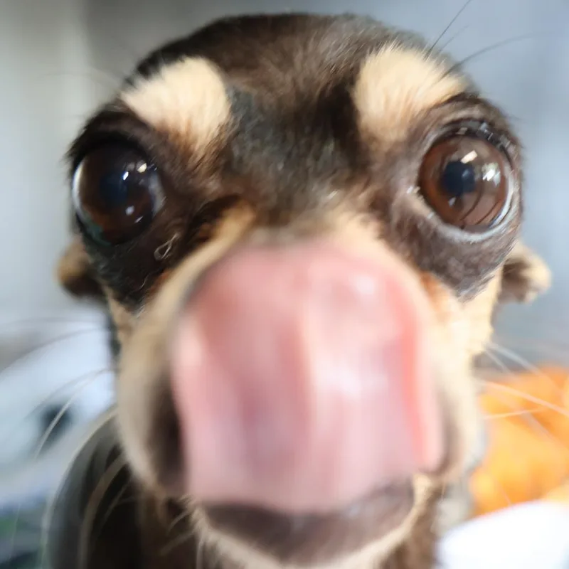 Nadia thumbnail 3