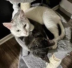 Baby And Shadow