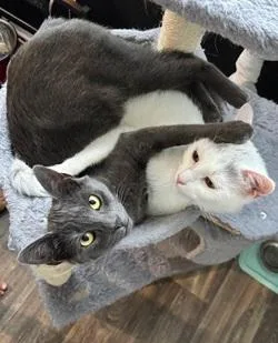 Baby And Shadow thumbnail 2