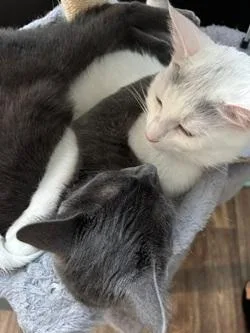 Baby And Shadow thumbnail 3