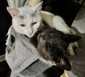 Baby And Shadow thumbnail 4