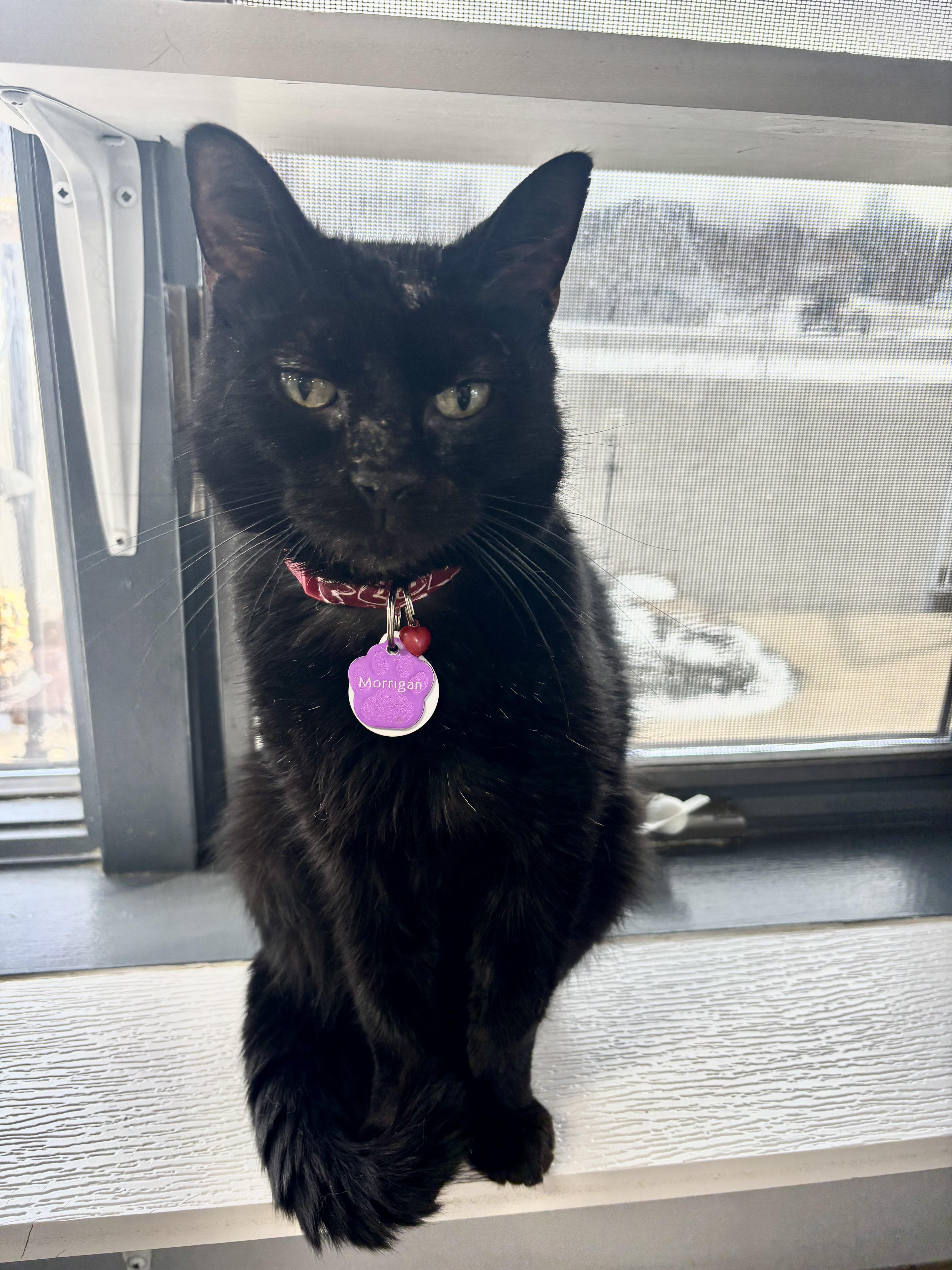 Morrigan thumbnail 2