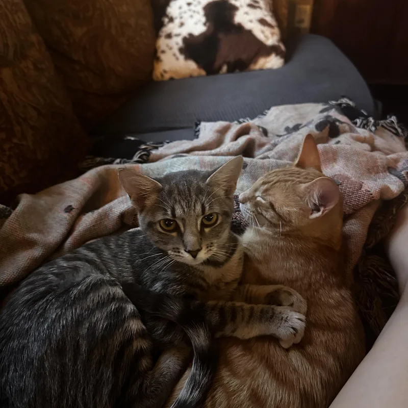 Mouse thumbnail 2