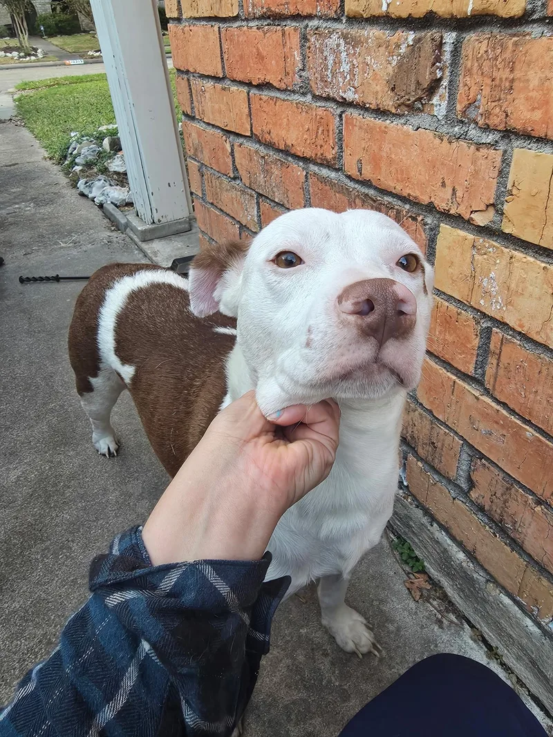 ​michi The Mushy Snuggler