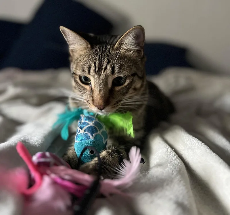 Jasper bondedtoKarma thumbnail 2
