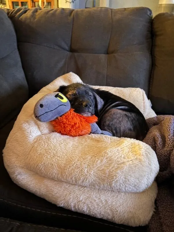 Tula Lou thumbnail 3